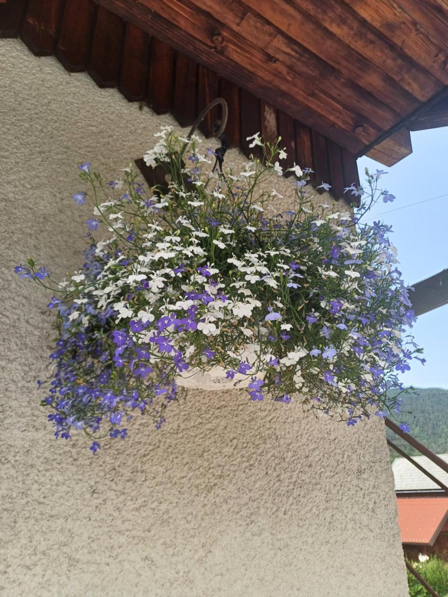 Apartma Ginga Osilnica Exterior foto